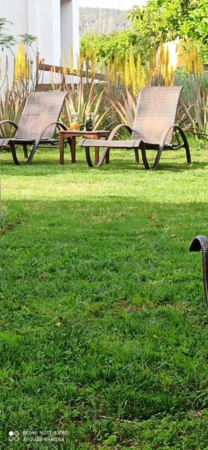 Aloe Apartment In Epidaurus Dış mekan fotoğraf